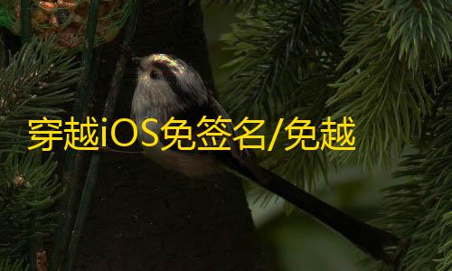 穿越iOS免签名/免越狱【美国队长】辅助