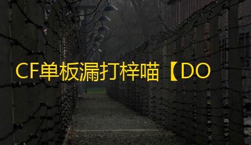 CF单板漏打梓喵【DOK/单板梓喵】外挂
